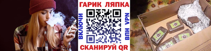 закладка  Сосновый Бор  Гашиш Изолятор 