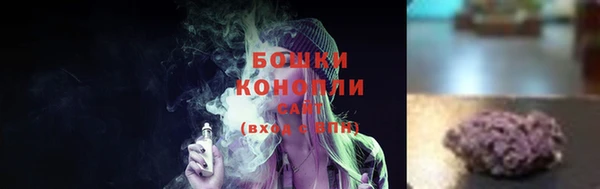 дмт Магас