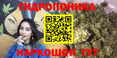 хмурый Жуковский