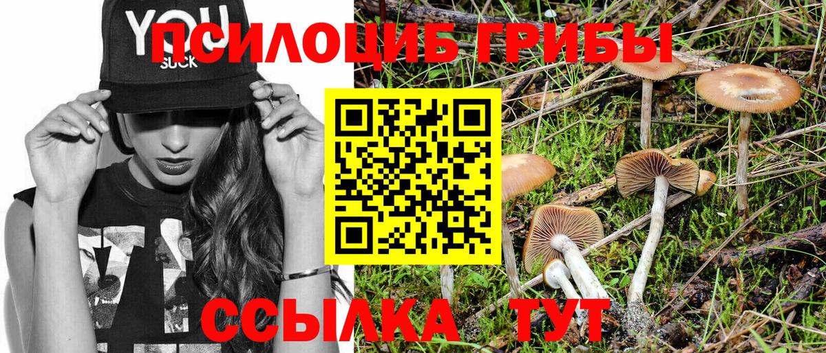 Сосновый Бор  Псилоцибиновые грибы прущие грибы  Вход с VPN 