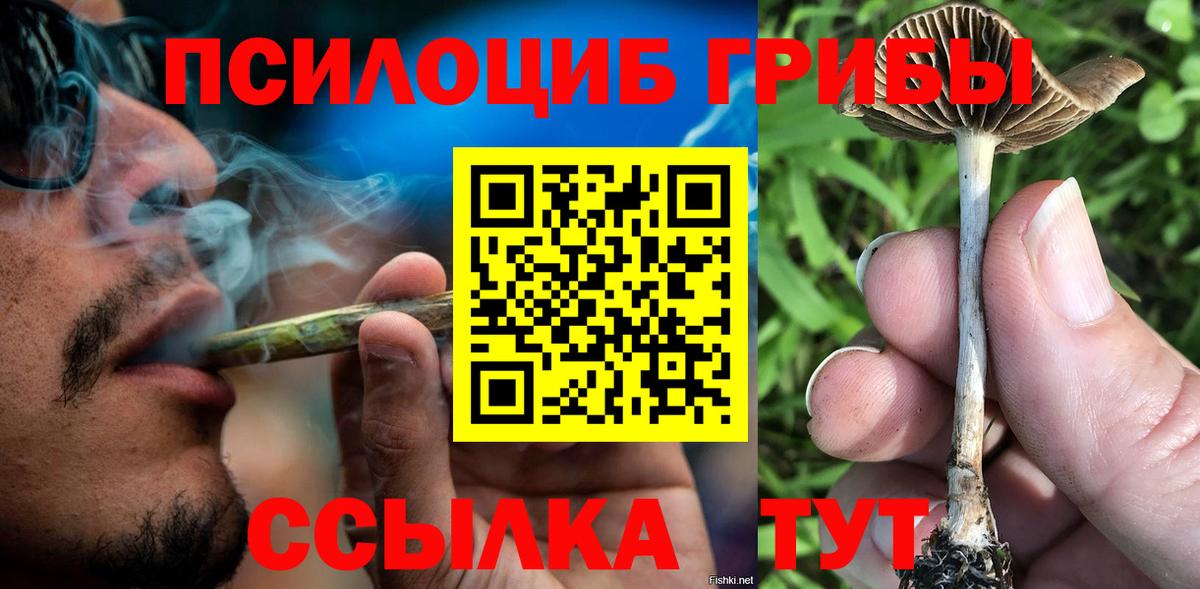 Псилоцибиновые грибы ЛСД  Сосновый Бор 