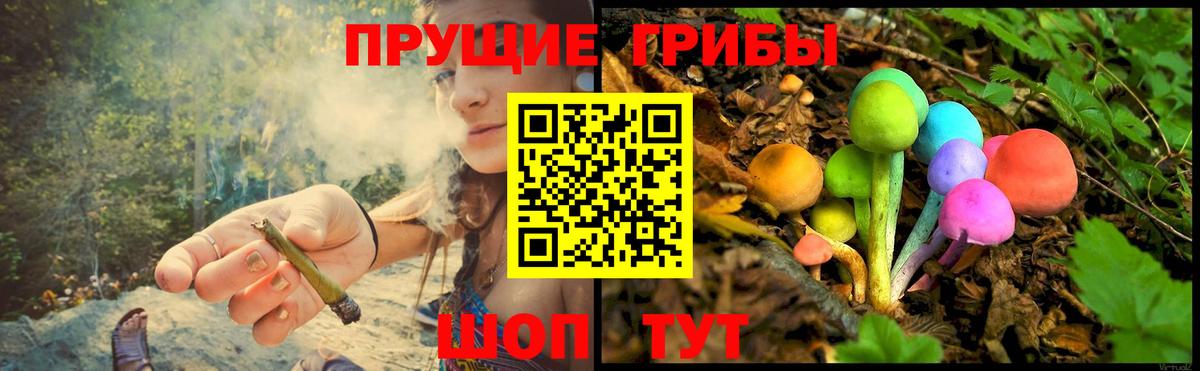 Галлюциногенные грибы прущие грибы Сосновый Бор